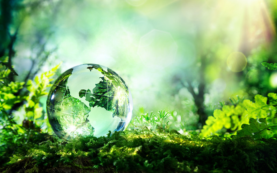 A importância da cremação para o meio ambiente A importância da cremação para o meio ambiente
