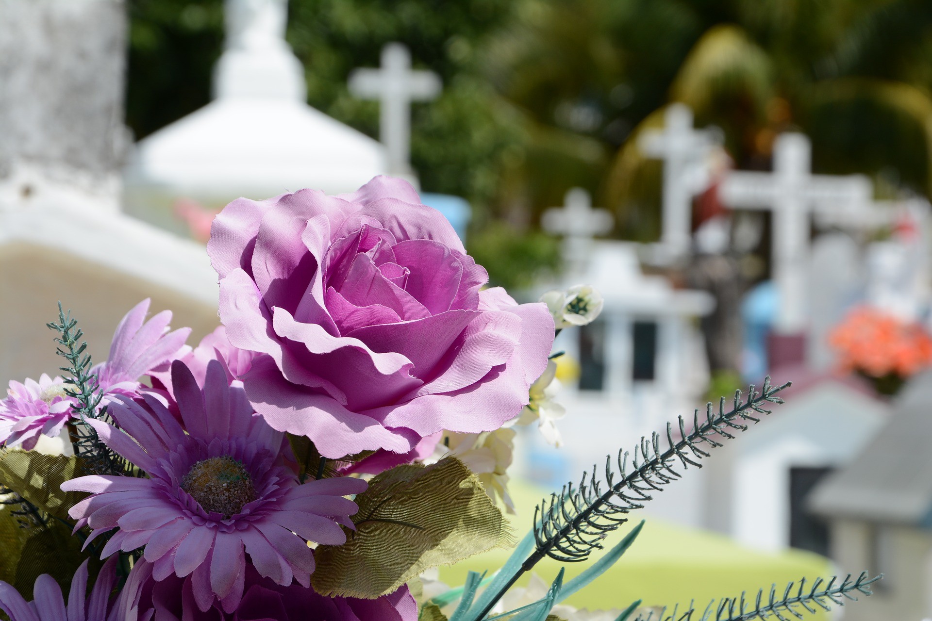 A exumação de cadáver ocorre após 3 ou 5 anos da data do sepultamento A exumação de cadáver ocorre após 3 ou 5 anos da data do sepultamento